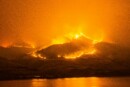 volontario sul Vesuvio colpito da un albero