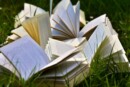 Campania libri festival 2025