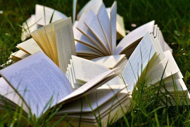 Campania libri festival 2025