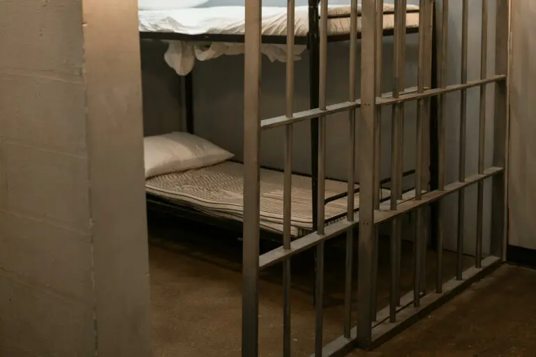 West Nile in carcere: lanciato l’allarme west nile in carcere