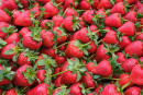 parete - festa della fragola