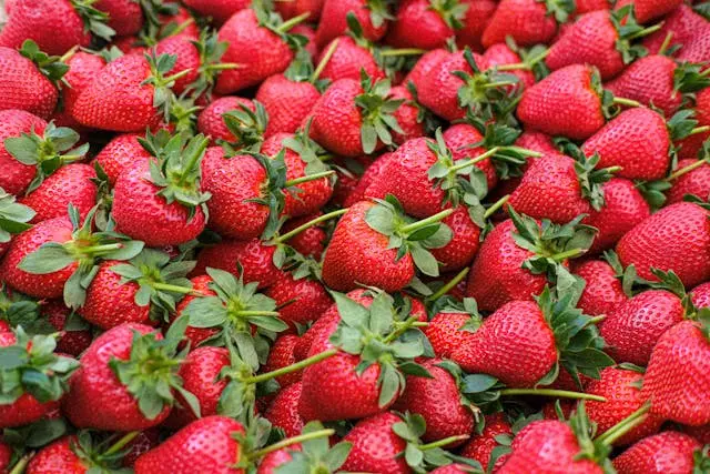 parete - festa della fragola