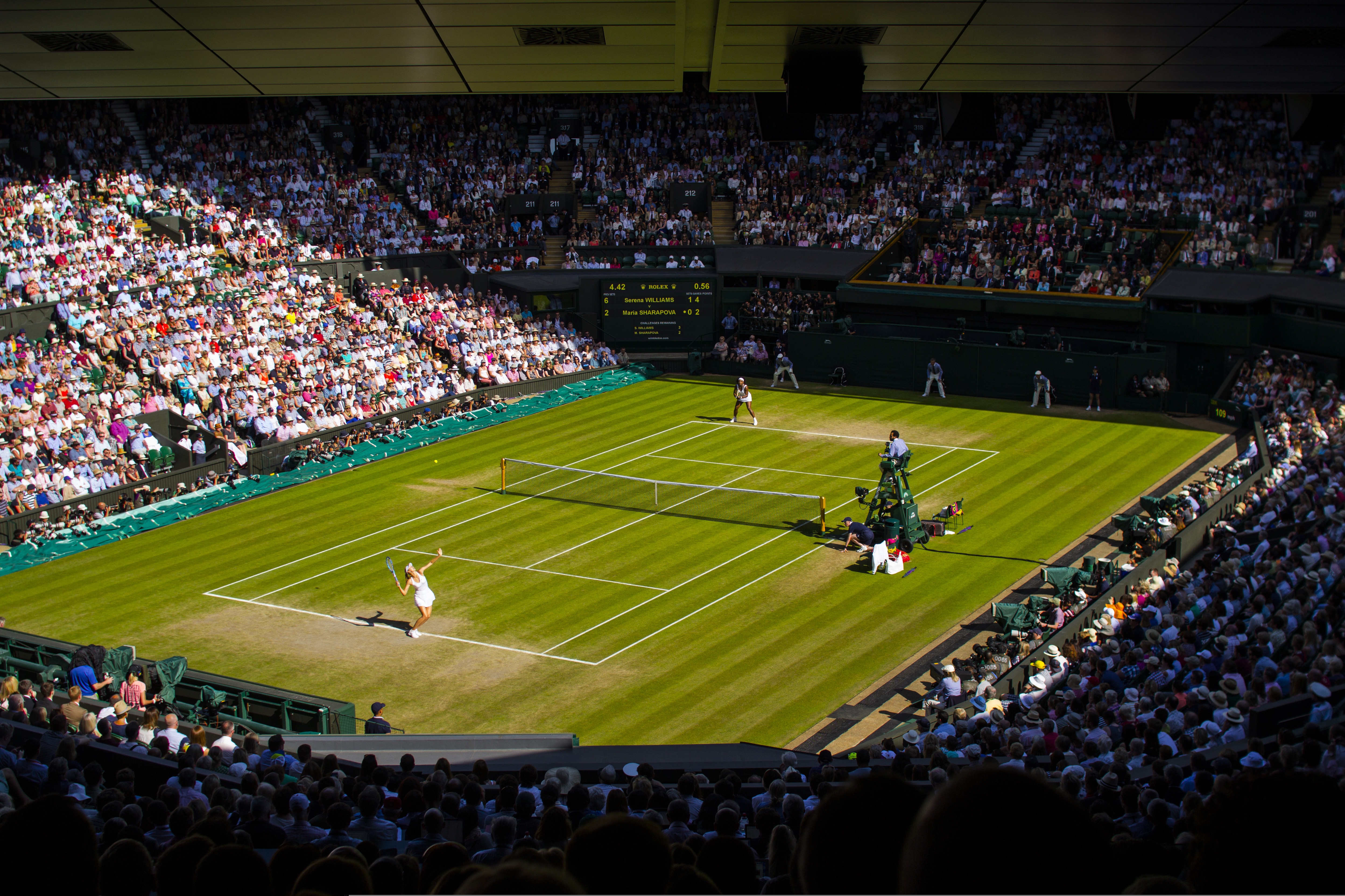 Wimbledon 2026 al via l'Open di Londra: programma aggiornato, calendario, tabellone e le ultime news