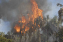 Incendi boschivi Campania 2026