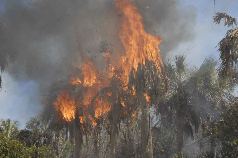 Incendi boschivi Campania 2026