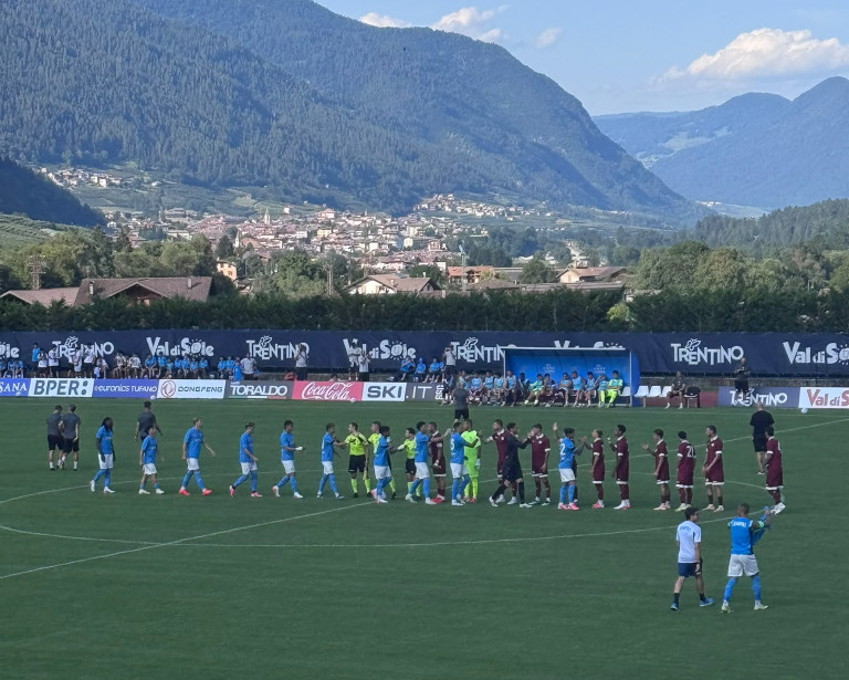 Napoli Arezzo sintesi