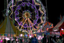 monte di procida festa