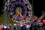 monte di procida festa