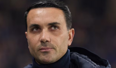 Palladino al Bologna