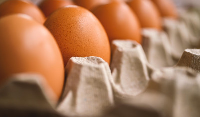 Uova allarme salmonella, richiamati 17 lotti Olivero Claudio e S&igrave;Essenziale
