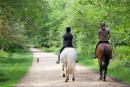 27enne Acerra cade da cavallo