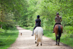 27enne Acerra cade da cavallo
