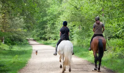 27enne Acerra cade da cavallo
