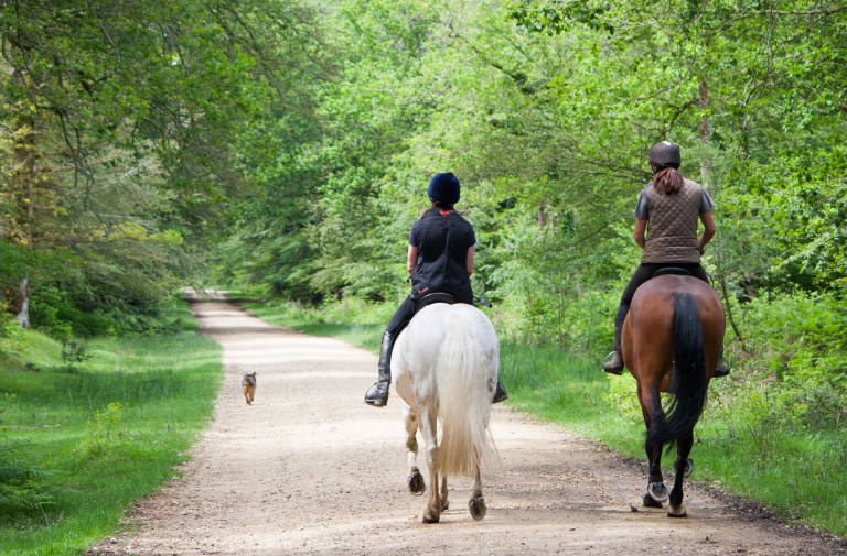 27enne Acerra cade da cavallo