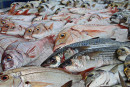 Pesce