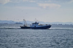 pescatori dell'Adriatico