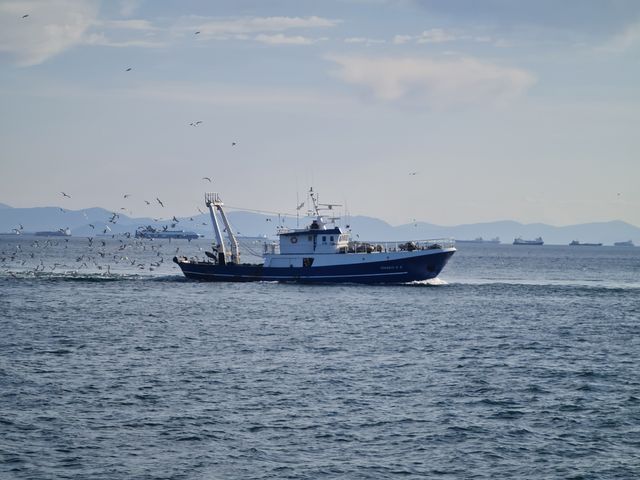 pescatori dell'Adriatico